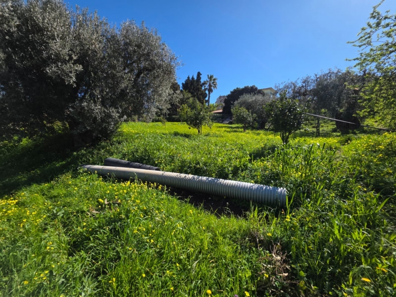 Terreno Agricolo Gallina 8000 Mq