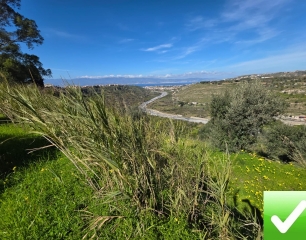 Terreno Agricolo Gallina 8000 Mq