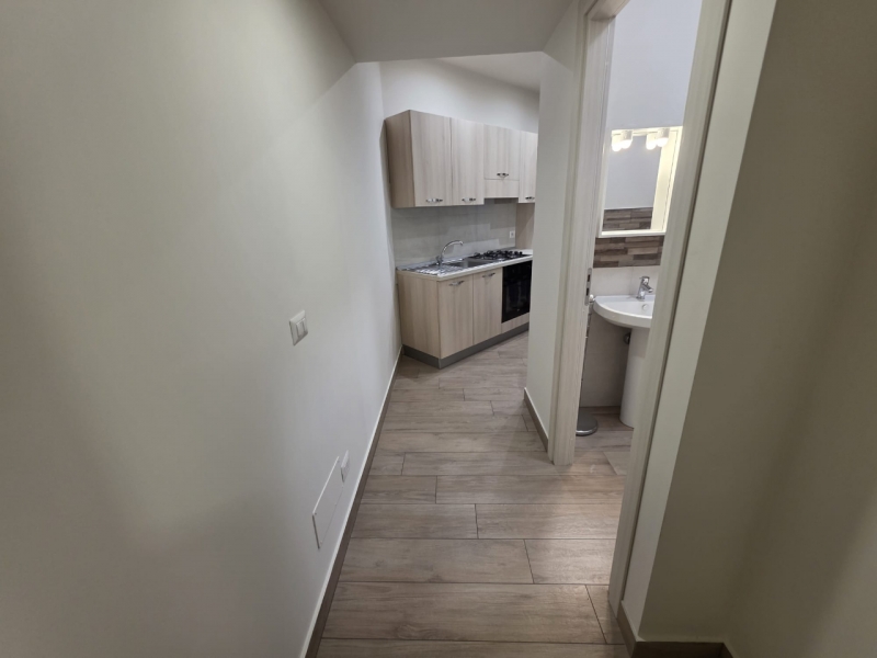 Appartamento Ristrutturato Arredato Pressi Ponte Sant'Anna