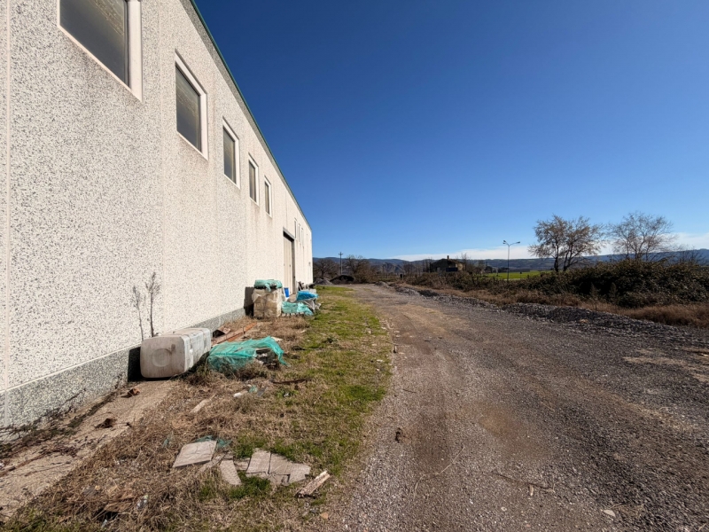 Capannone + Ufficio + Appartamento + Corte  Graffignano