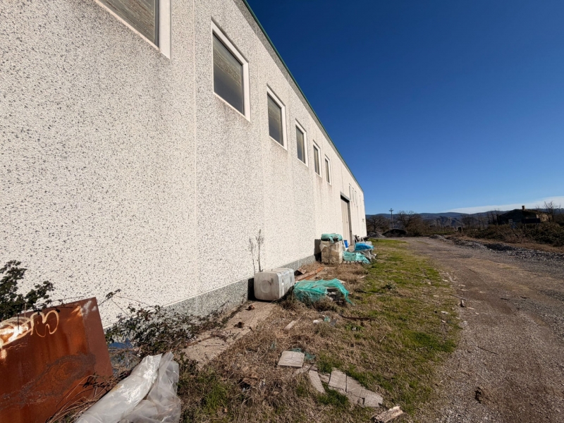 Capannone + Ufficio + Appartamento + Corte  Graffignano