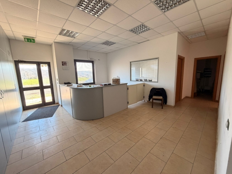 Capannone + Ufficio + Appartamento + Corte  Graffignano