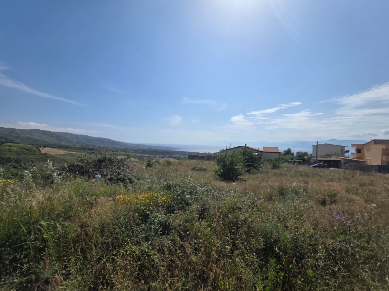 Terreno Agricolo Panoramico Aretina 2000 Mq