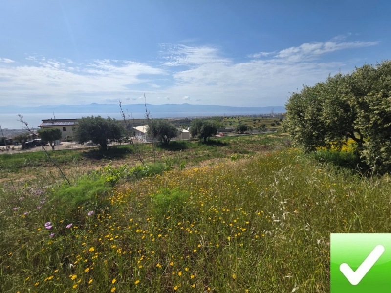 Terreno Agricolo Panoramico Aretina 1050 Mq