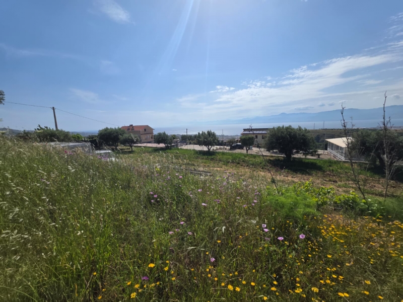 Terreno Agricolo Panoramico Aretina 1050 Mq