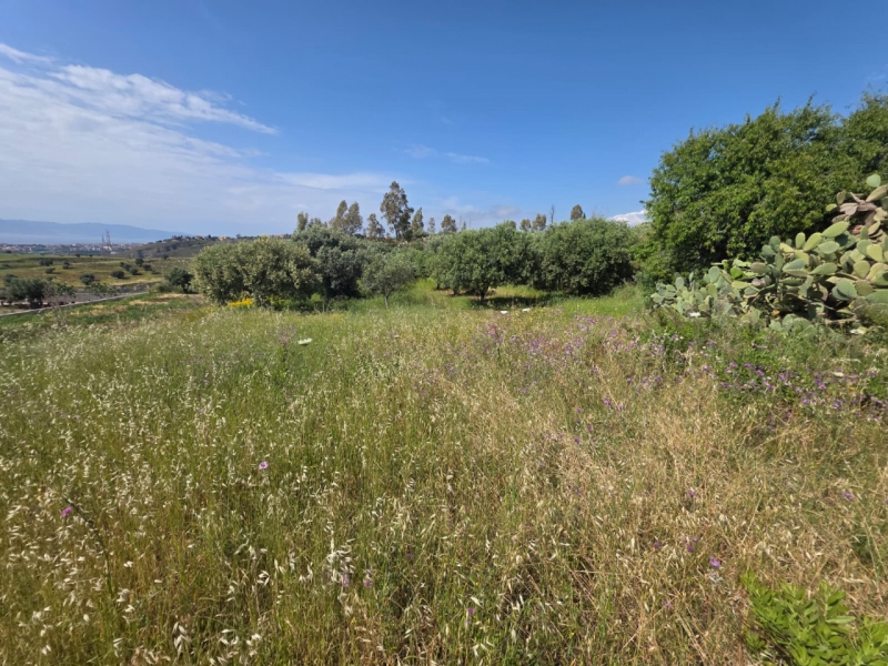 Terreno Agricolo Panoramico Aretina 1050 Mq
