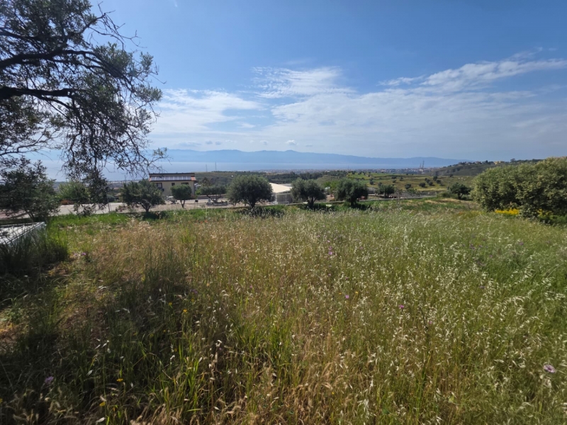 Terreno Agricolo Panoramico Aretina 1050 Mq