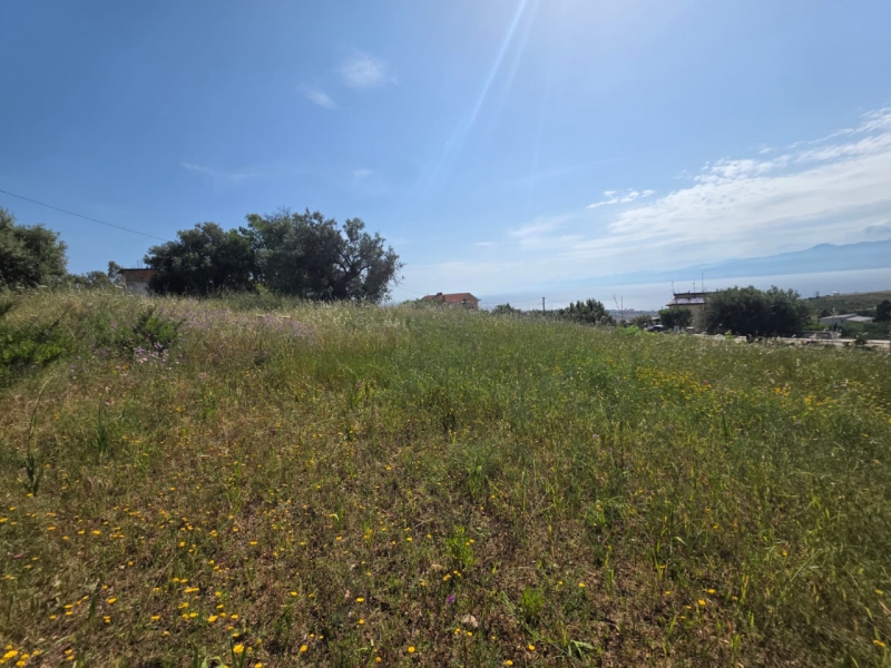 Terreno Agricolo Panoramico Aretina 1050 Mq