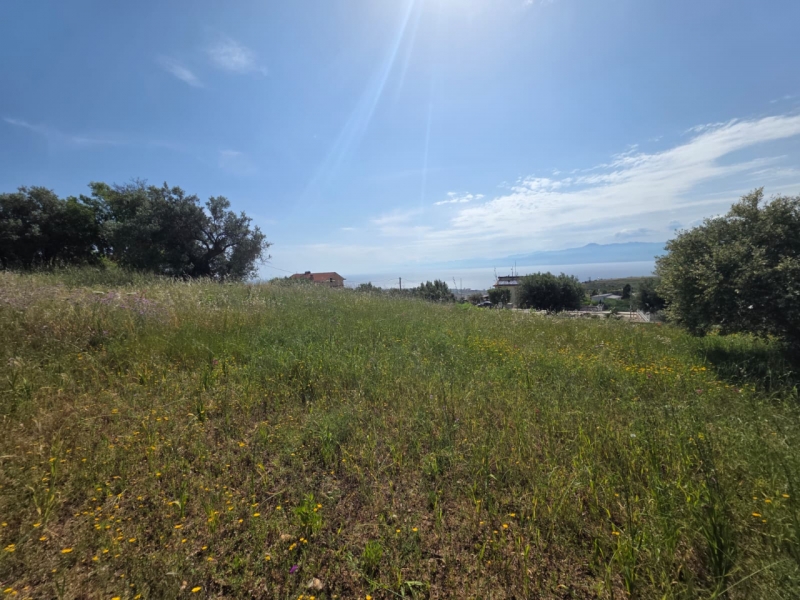 Terreno Agricolo Panoramico Aretina 1050 Mq