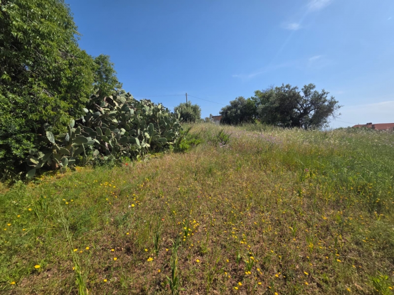 Terreno Agricolo Panoramico Aretina 1050 Mq