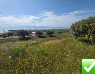 Terreno Agricolo Panoramico Aretina 1050 Mq