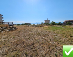 Terreno Recintato Via Trapezzoli 2500 Mq