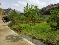 Terreno Agricolo Produttivo e Fruttifero Vito Inferiore 1400 Mq