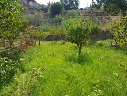 Terreno Agricolo Produttivo e Fruttifero Vito Inferiore 1400 Mq