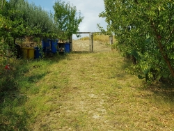 Terreno Agricolo Produttivo e Fruttifero Vito Inferiore 1400 Mq