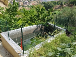 Terreno Agricolo Produttivo e Fruttifero Vito Inferiore 1400 Mq